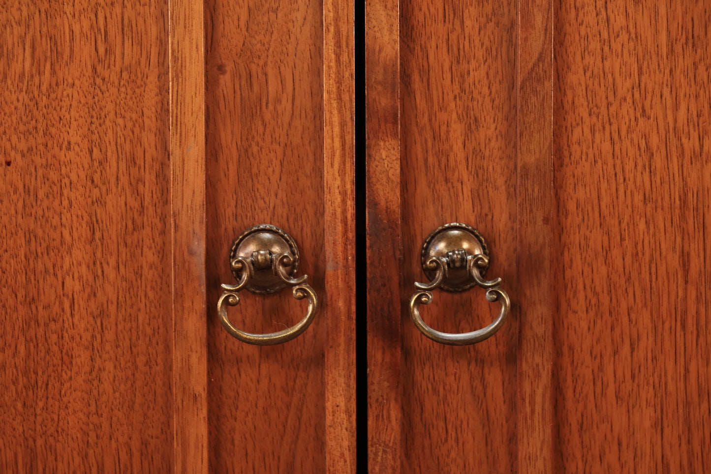 Mid Century Walnut 2-Door Cabinet - ONLINE ONLY