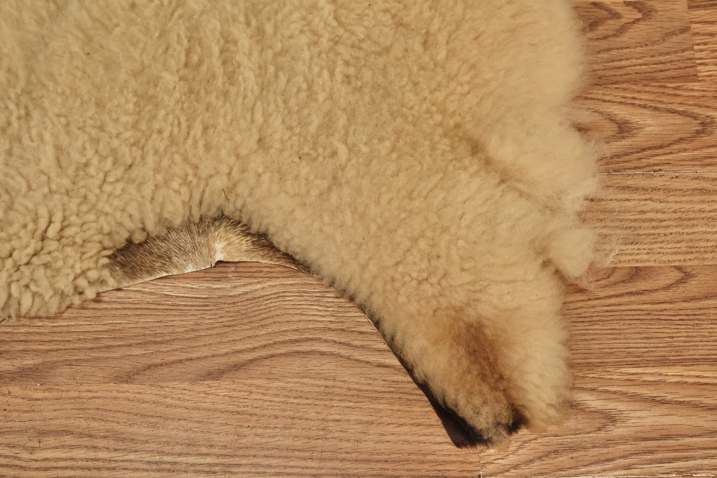 Small Sheepskin Throw Rug V - ONLINE ONLY