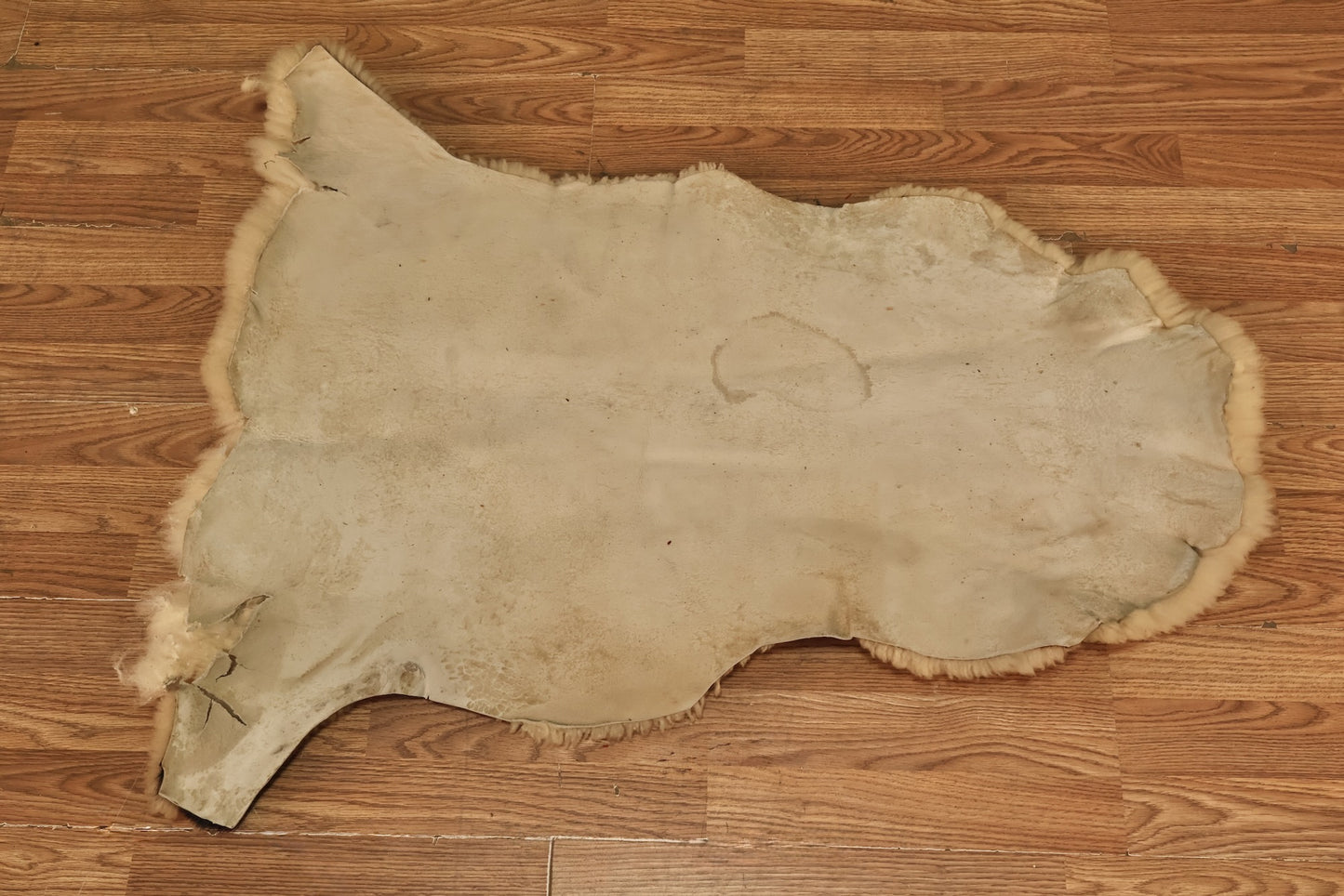 Small Sheepskin Throw Rug V - ONLINE ONLY