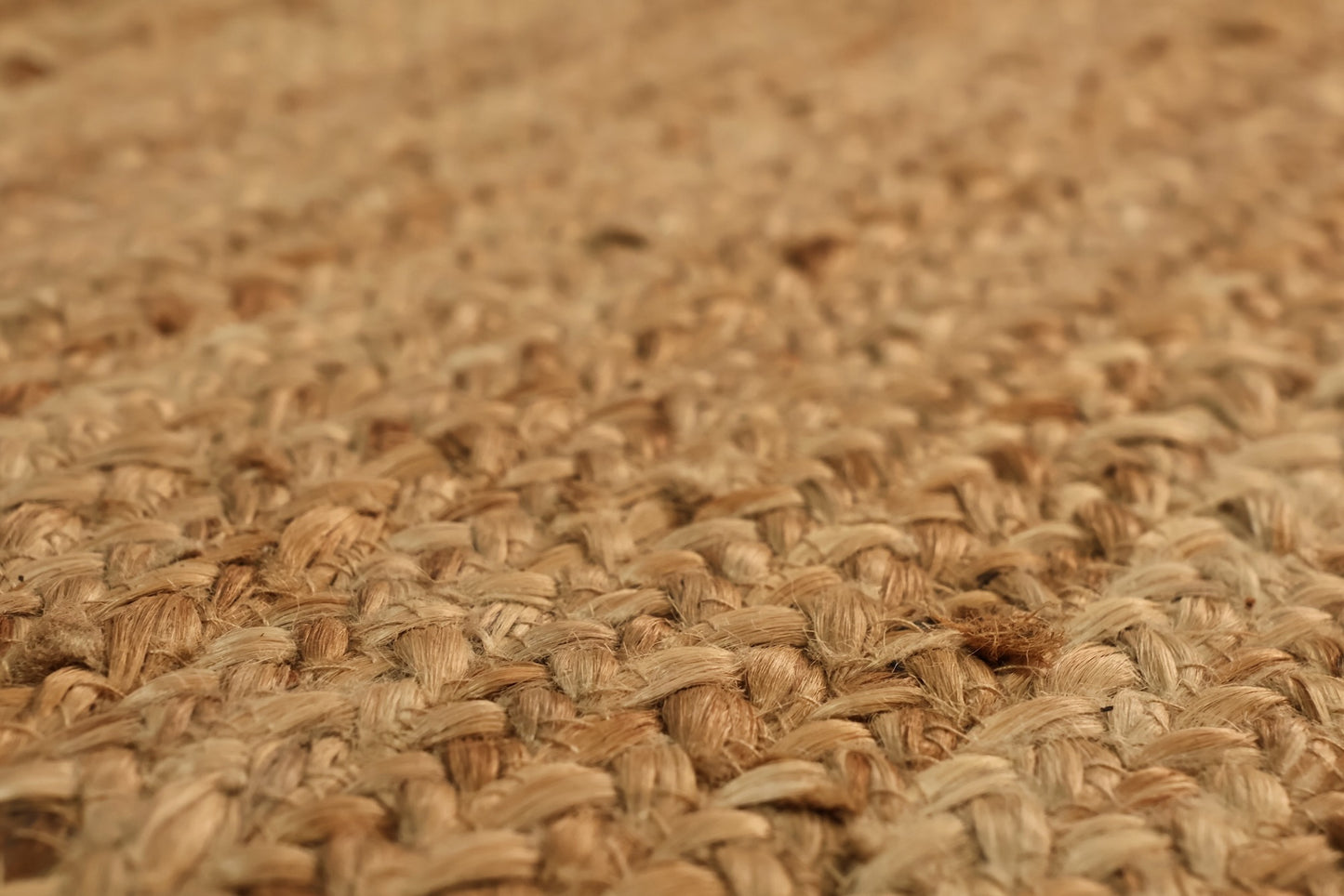 Braided Jute Area Rug
