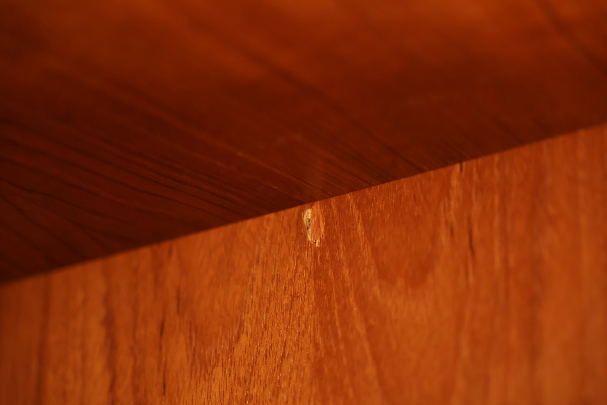 Girl with Yellow Bird