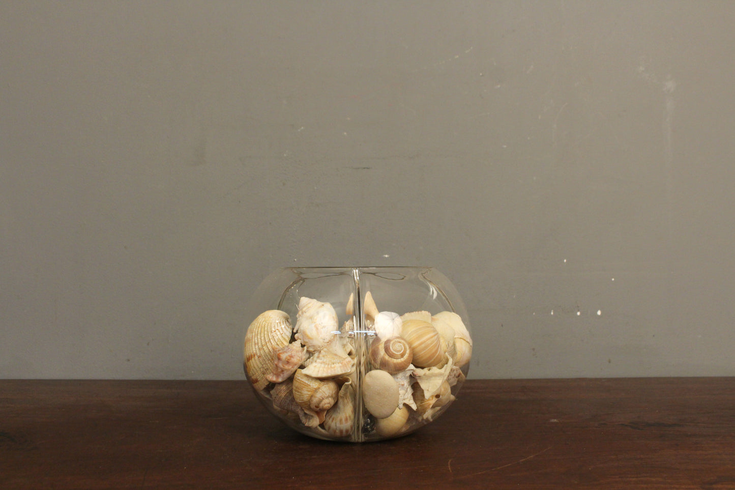 Divided Bowl of Shells
