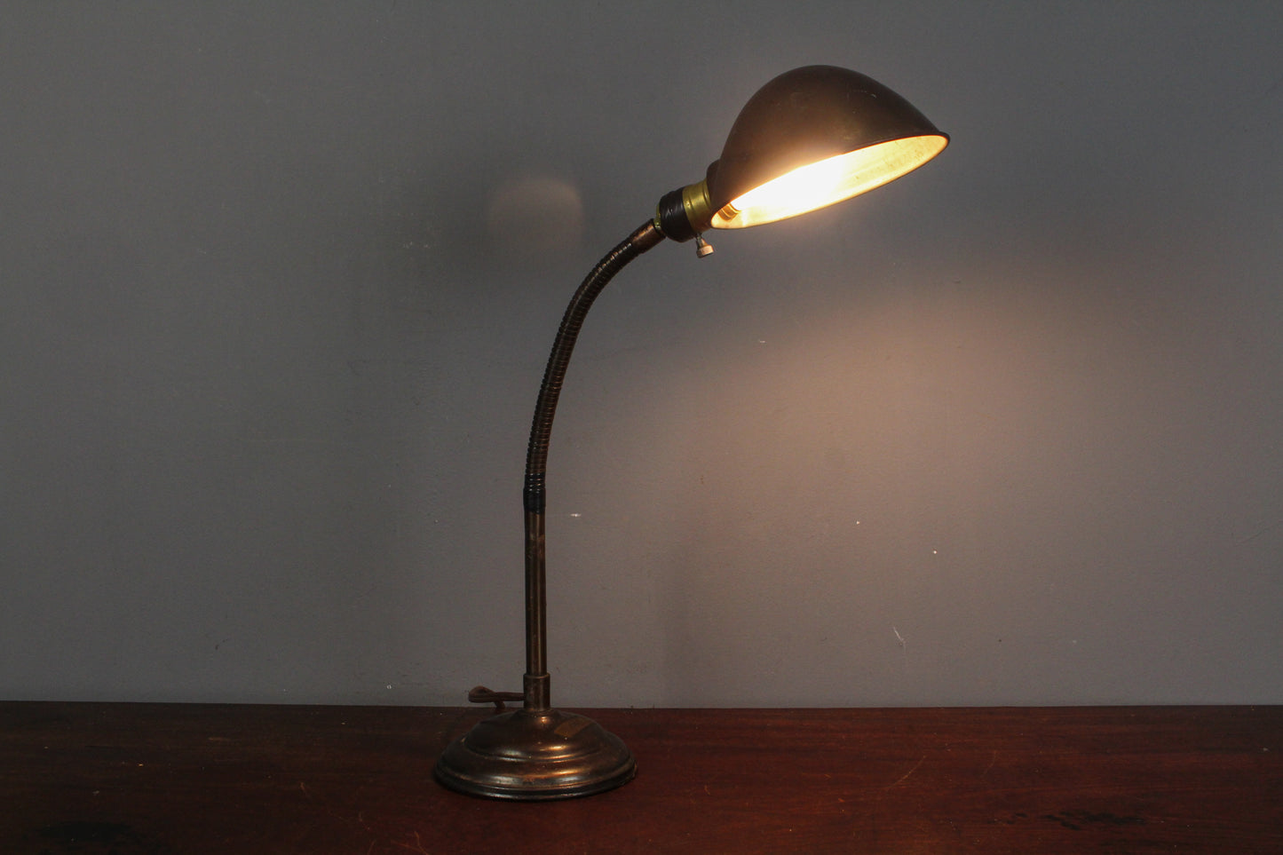 Industrial Metal Gooseneck Desk Lamp