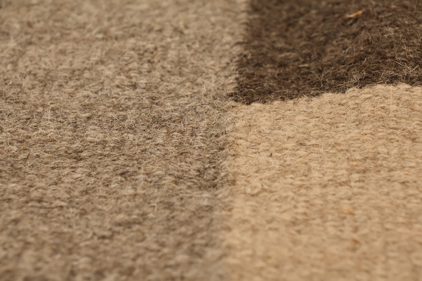 Large West Elm Neutral Rug