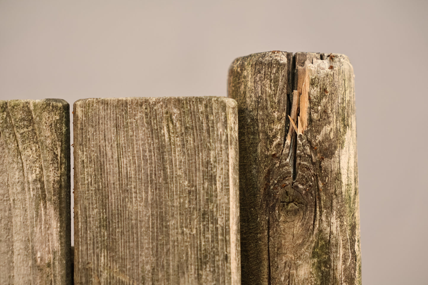 Walpole Firewood Side Chair - ONLINE ONLY