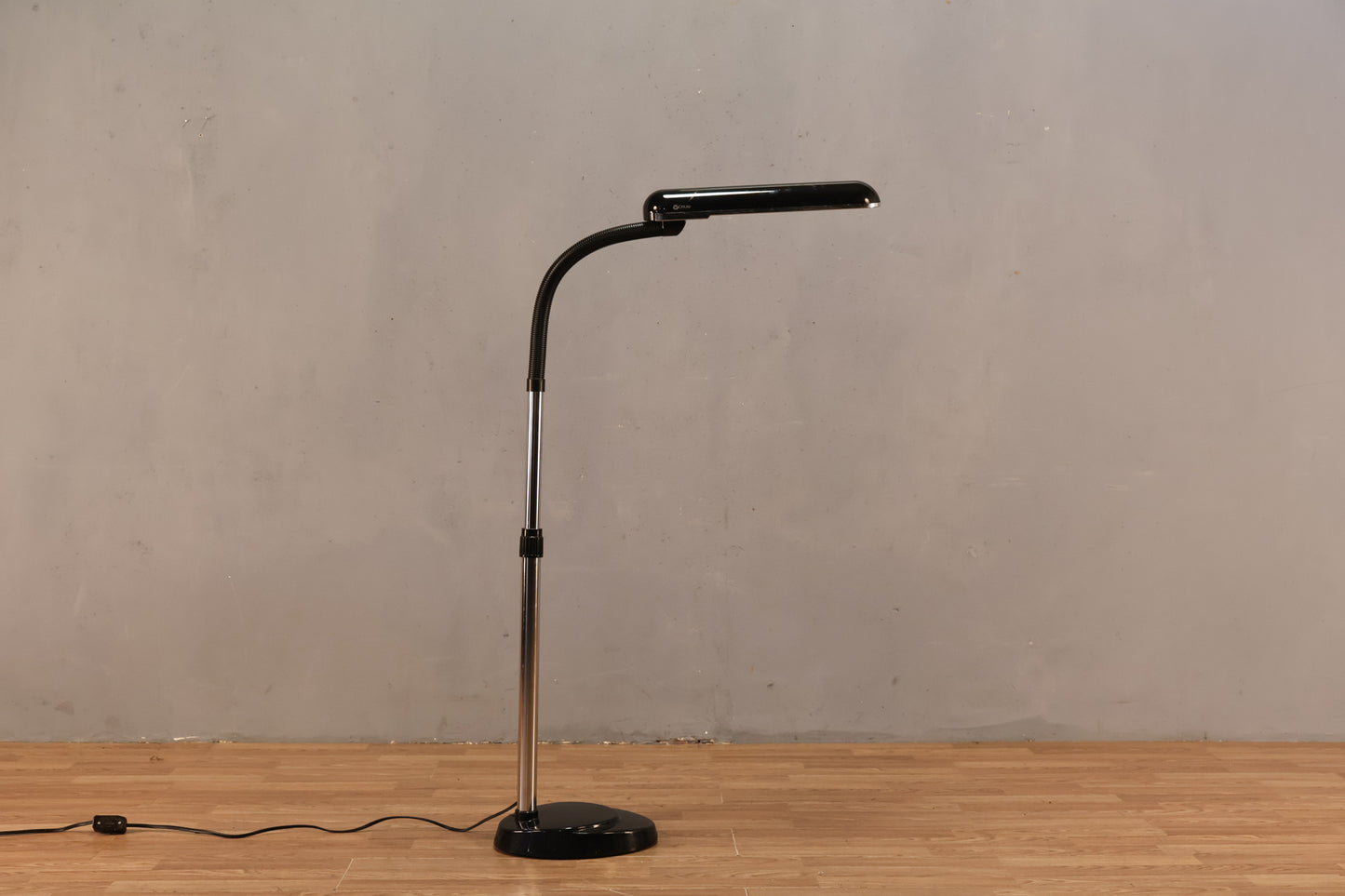 Contemporary Black Gooseneck Floor Lamp