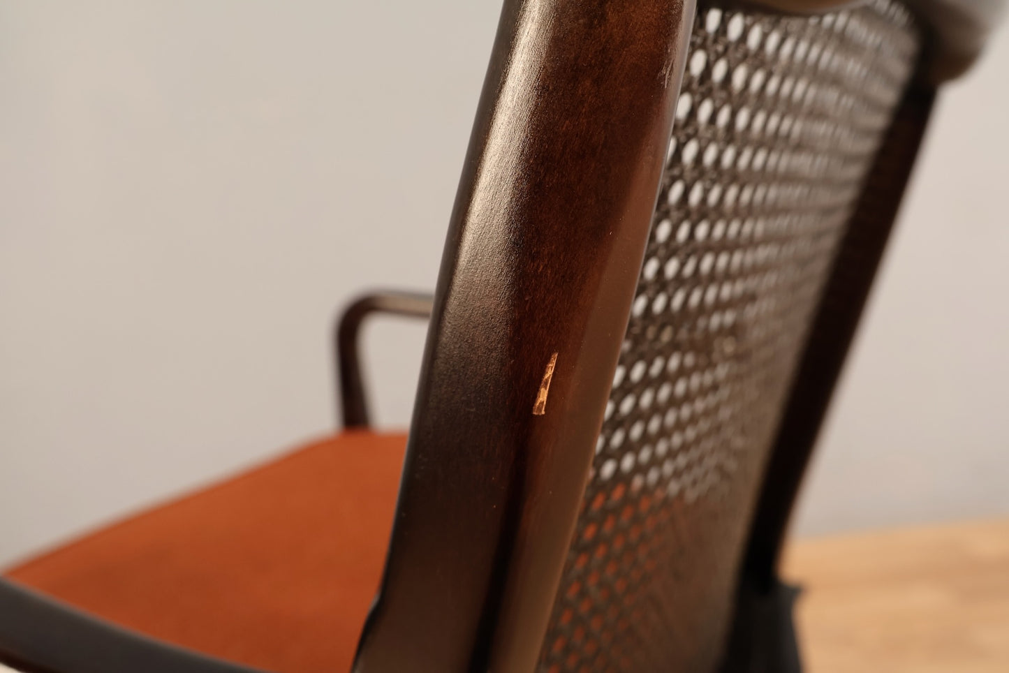 Regency Mahogany & Terra Cotta Armchair