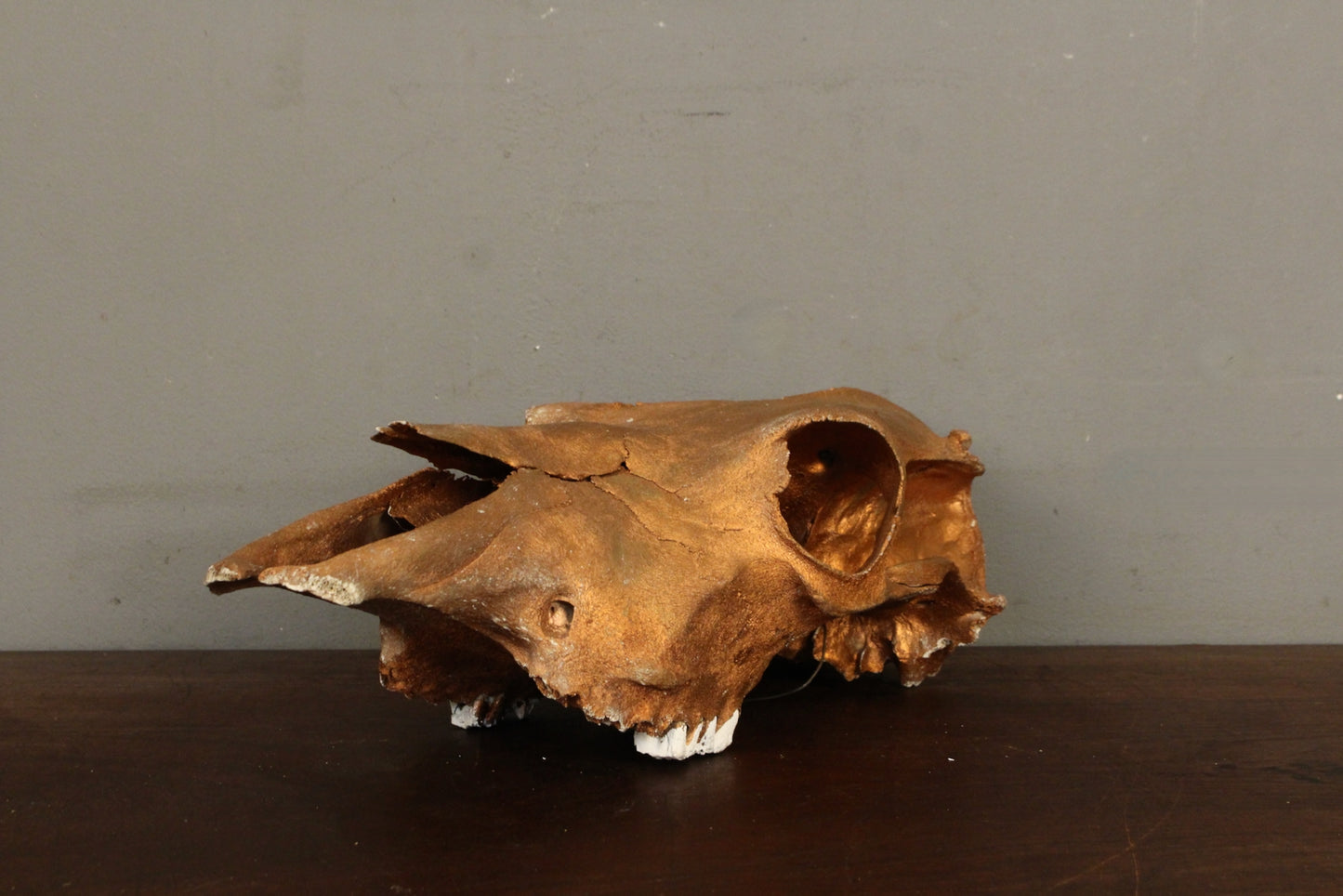 Bronze-Painted Cow Skull