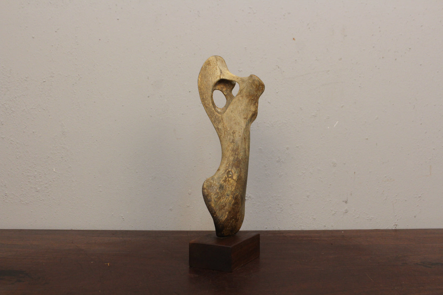 Antique Mammalian Shoulder Bone