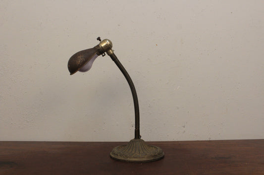 Industrial Deco Gooseneck Lamp
