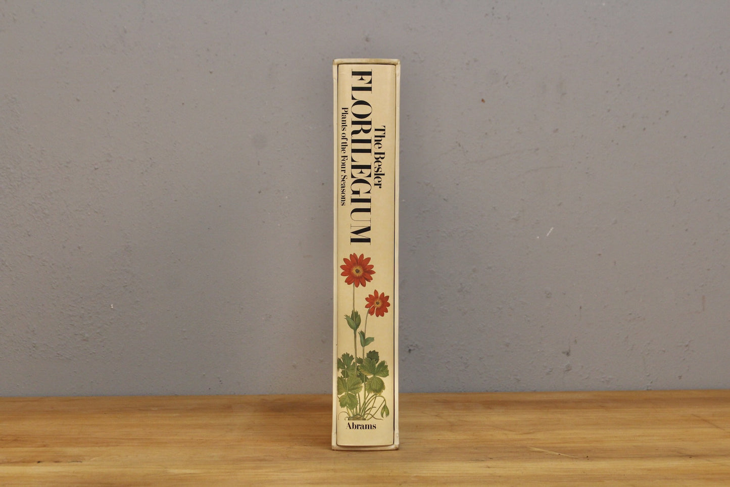 Large "The Besler Florilegium" Book