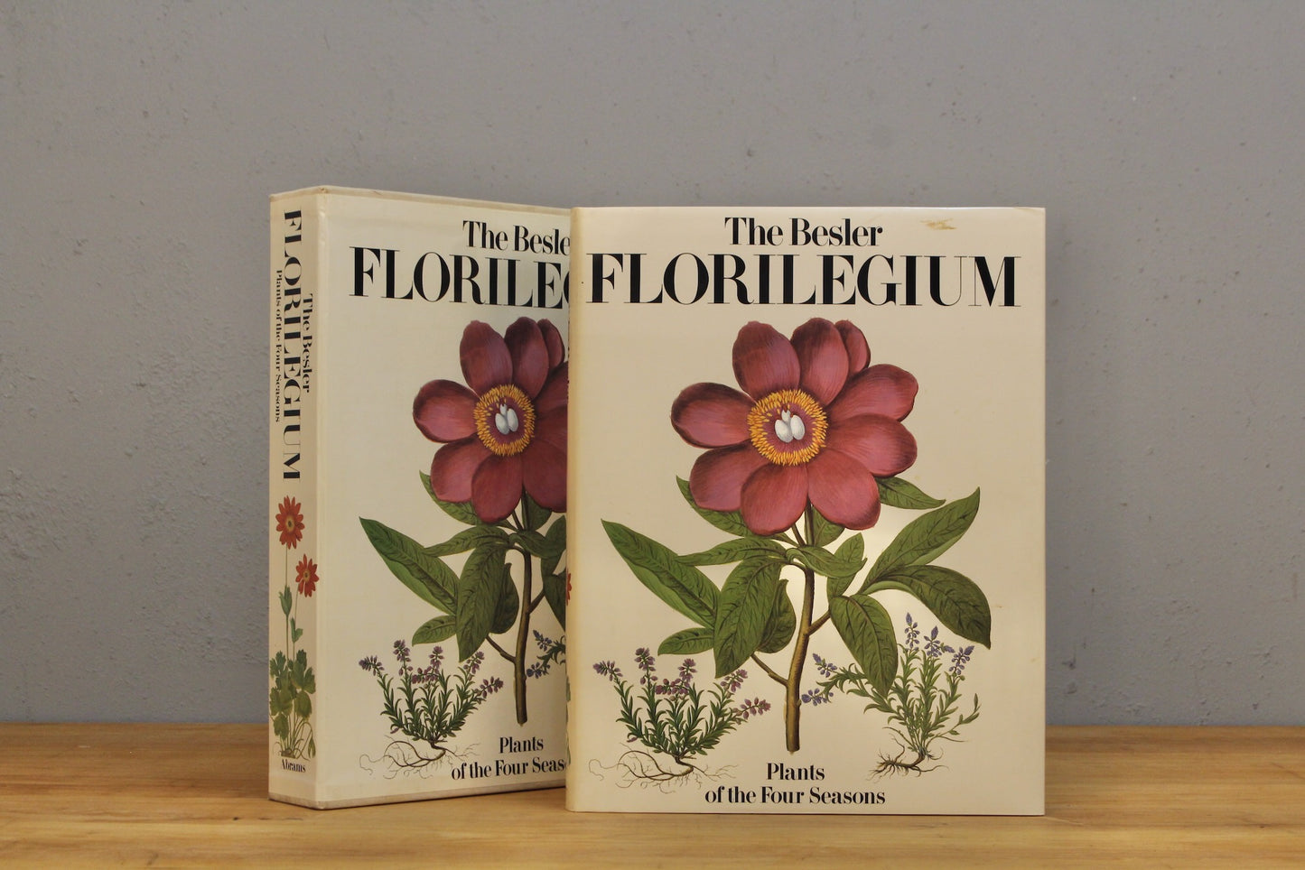 Large "The Besler Florilegium" Book