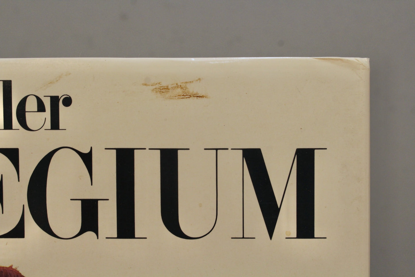 Large "The Besler Florilegium" Book