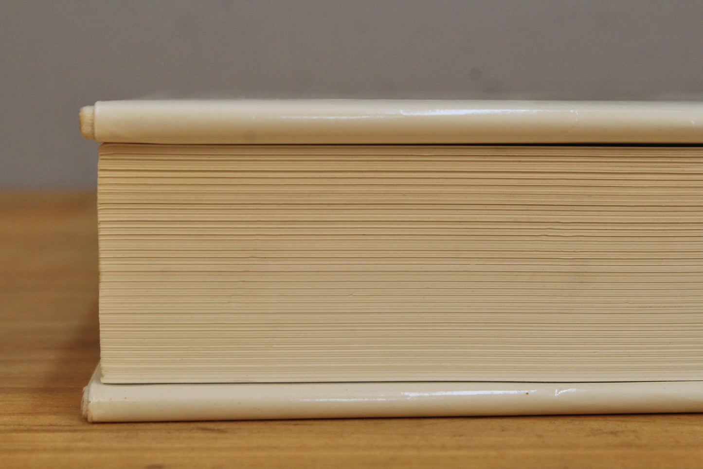 Large "The Besler Florilegium" Book