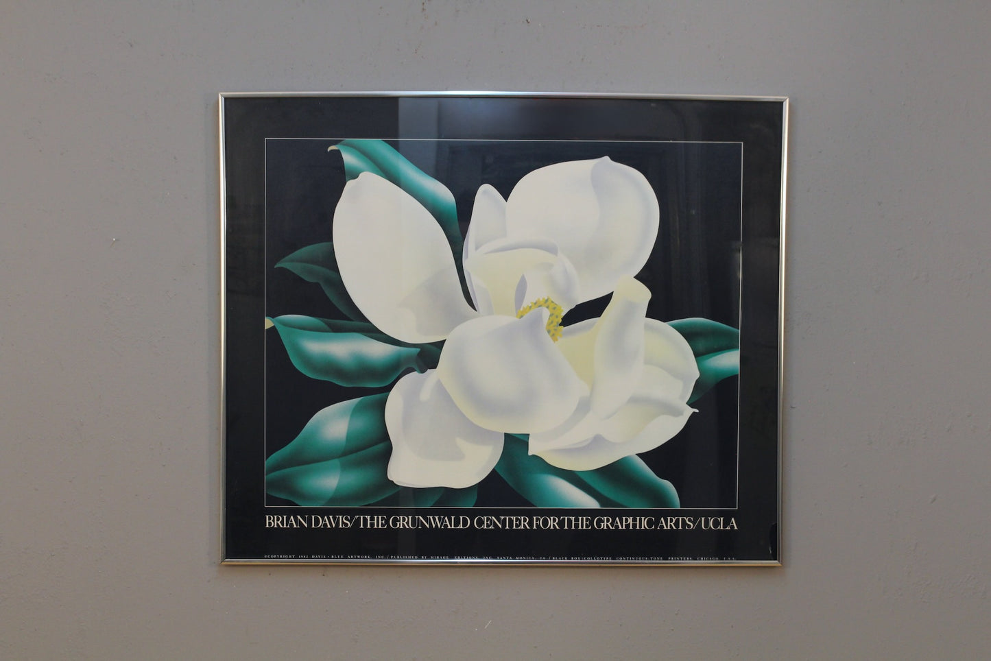 Brian Davis UCLA Exhibit Poster