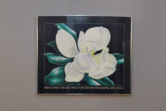 Brian Davis UCLA Exhibit Poster