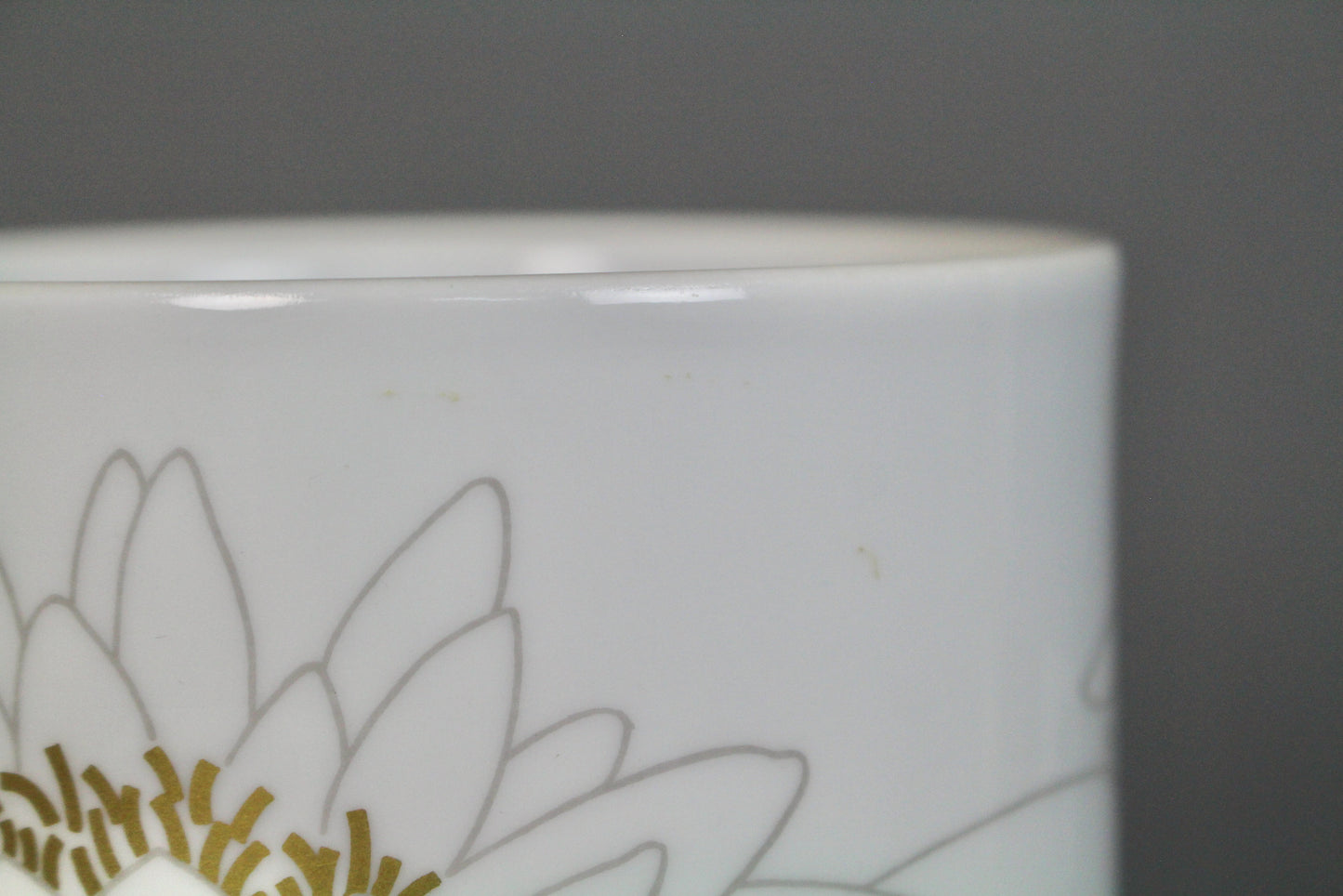 Rosenthal Porcelain Lotus Vase