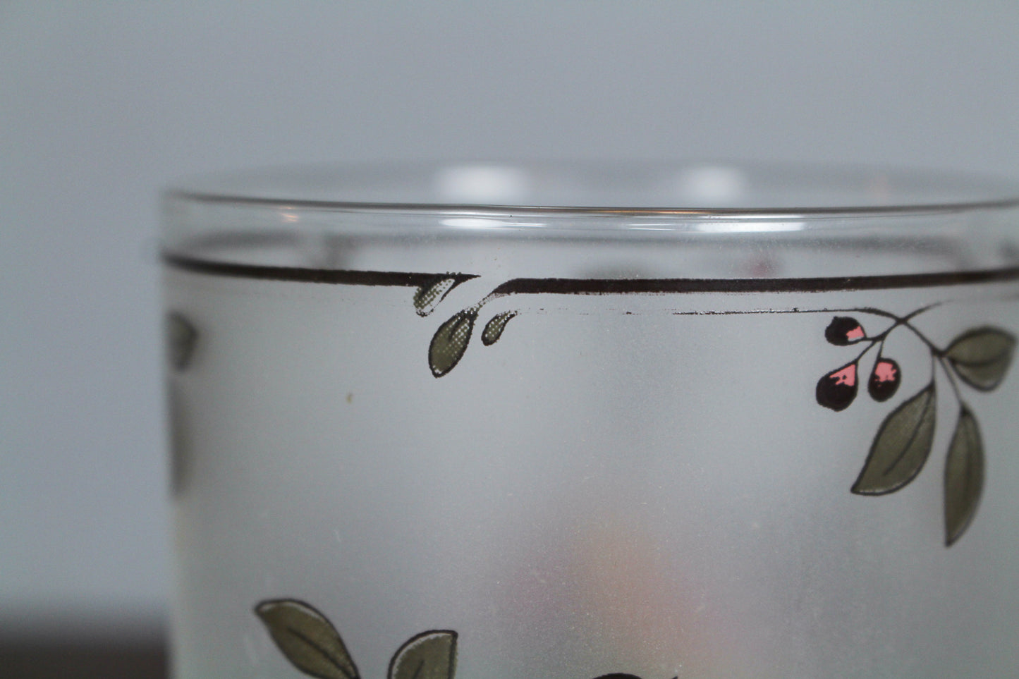 Set of 4 Noritake Frosted Bird Glasses