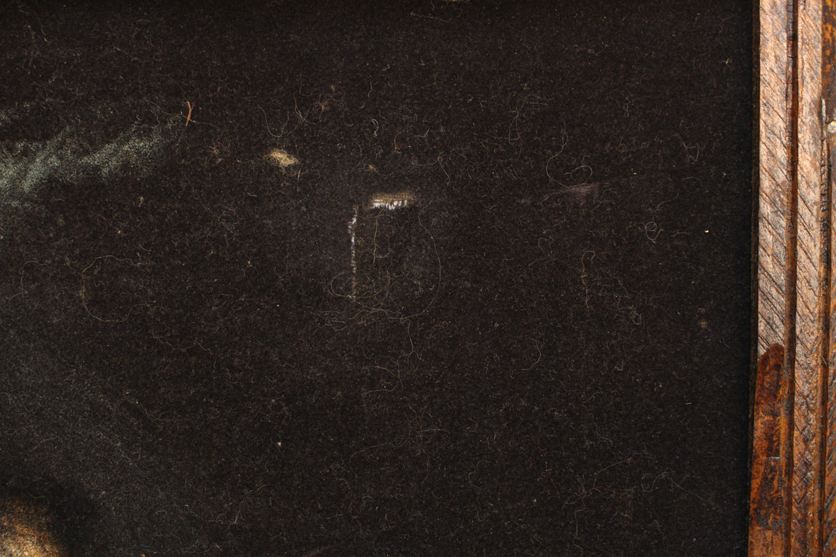 Black Velvet Elvis Portrait
