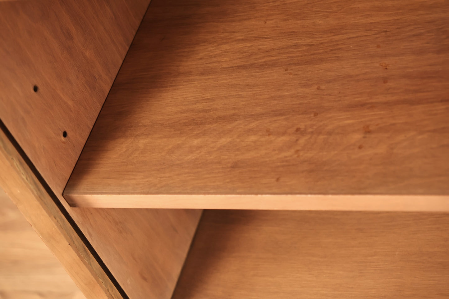 Mid Century Sable 2-Door Cabinet