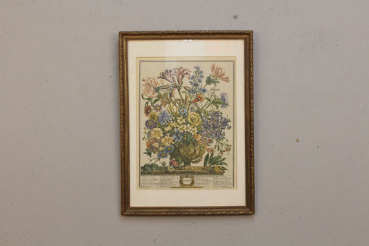Pieter Casteels "October Flowers" Print