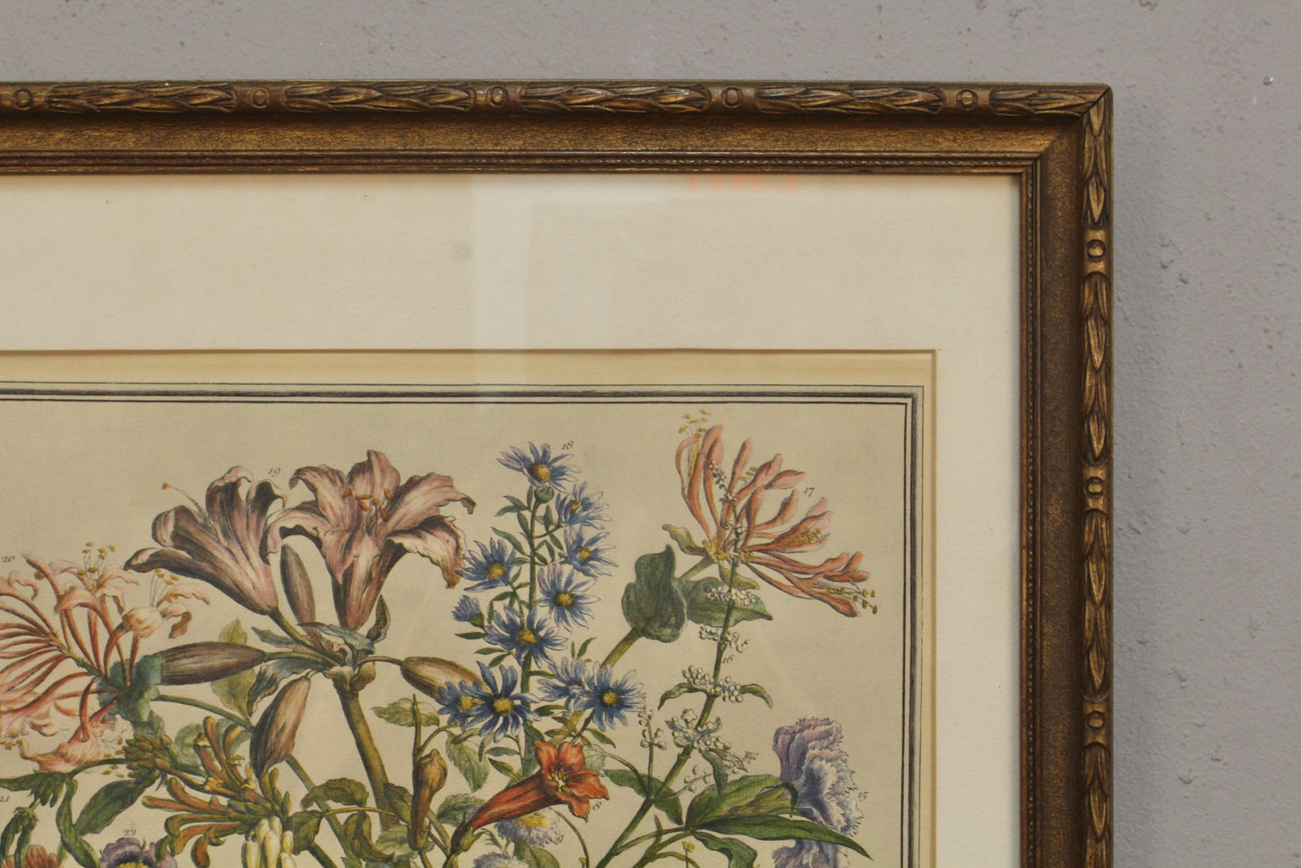 Pieter Casteels "October Flowers" Print