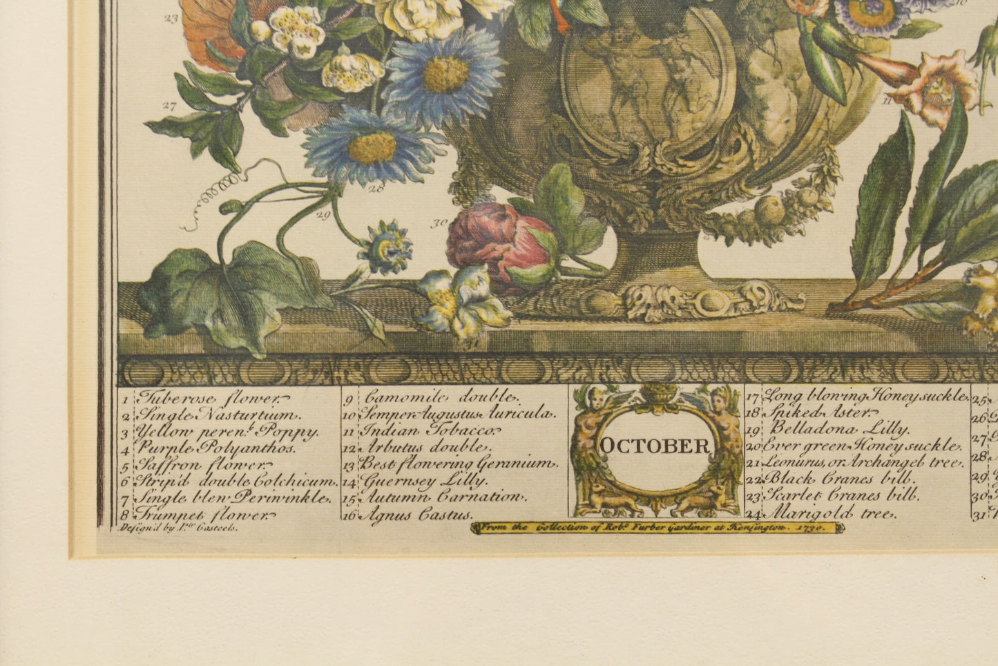 Pieter Casteels "October Flowers" Print