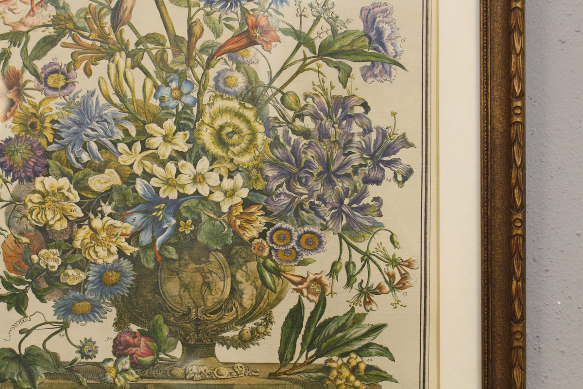 Pieter Casteels "October Flowers" Print