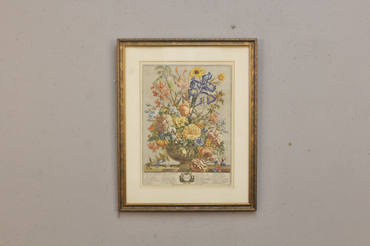 Pieter Casteels "June Flowers" Print