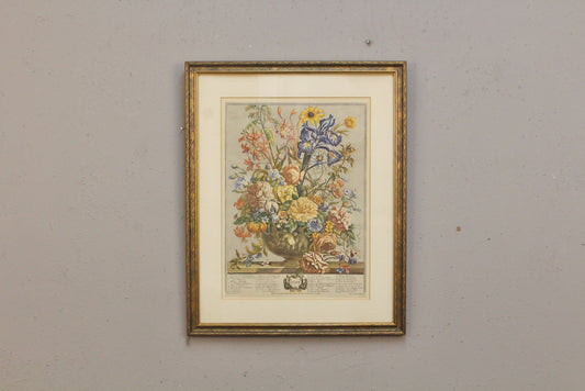 Pieter Casteels "June Flowers" Print