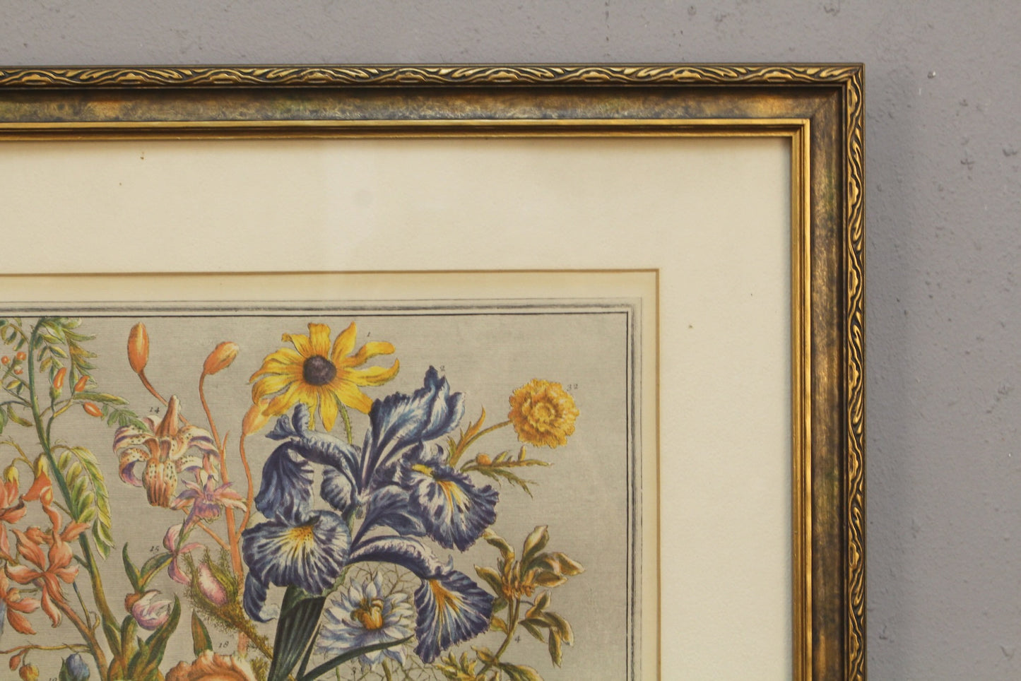 Pieter Casteels "June Flowers" Print