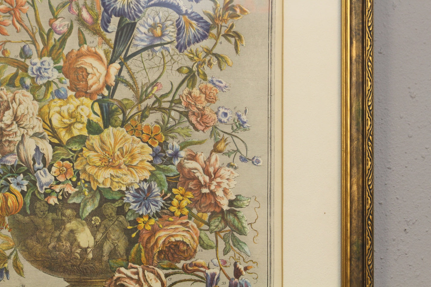 Pieter Casteels "June Flowers" Print