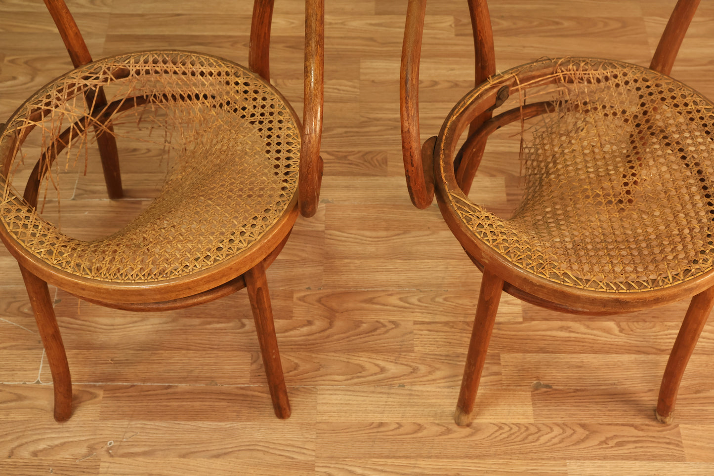 Antique Bentwood & Cane Armchair - ONLINE ONLY
