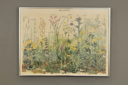 "Meadows" British Museum Print