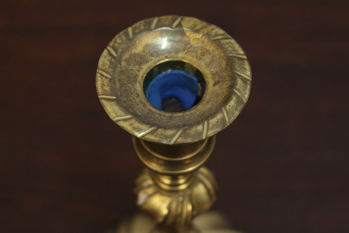 Pair of Turned Brass Candlesticks