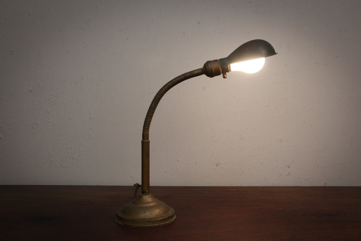 Antique Gooseneck Jeweler's Lamp