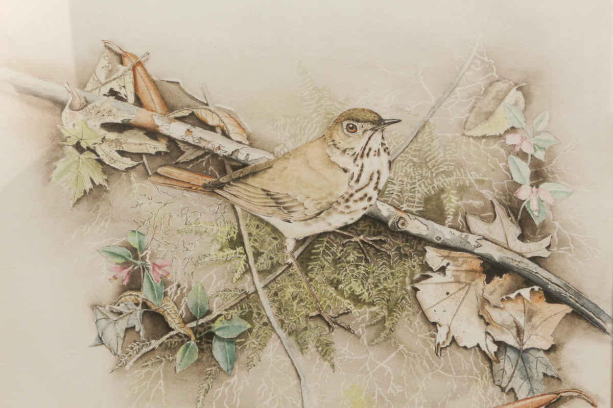 "Peaceful Perch" Framed Watercolor Painting