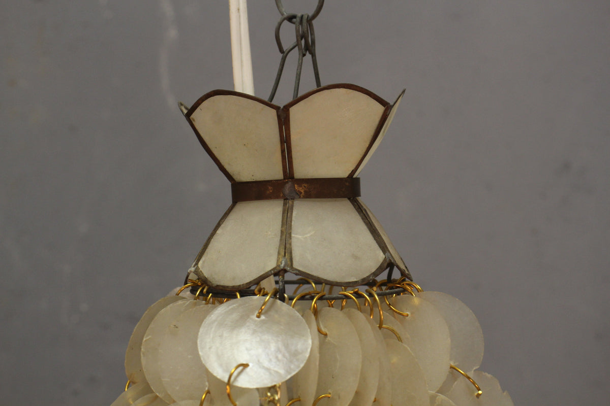 Capiz "Jellyfish" Swag Lamp