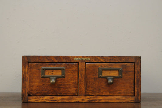 Globe-Wernicke Oak 2-Drawer Organizer
