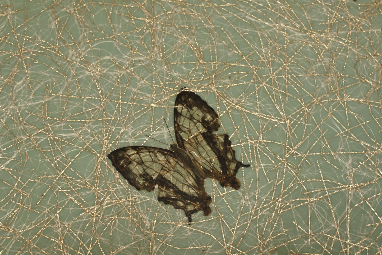 Biltmore Aqua & Gold Butterfly End Table - ONLINE ONLY