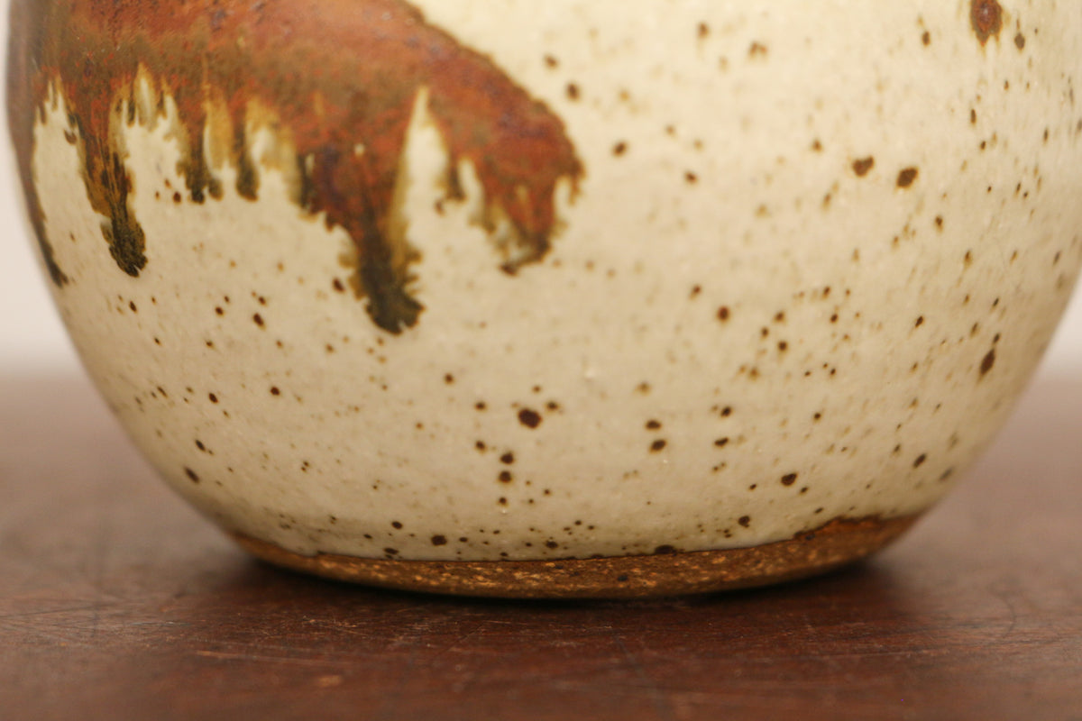 Small Ceramic Earthtone Vase
