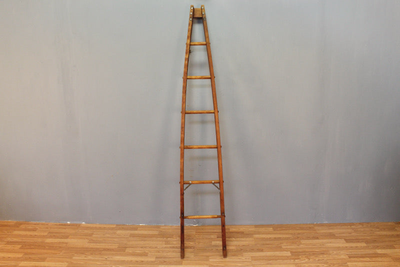 Curved Ladder - ONLINE ONLY