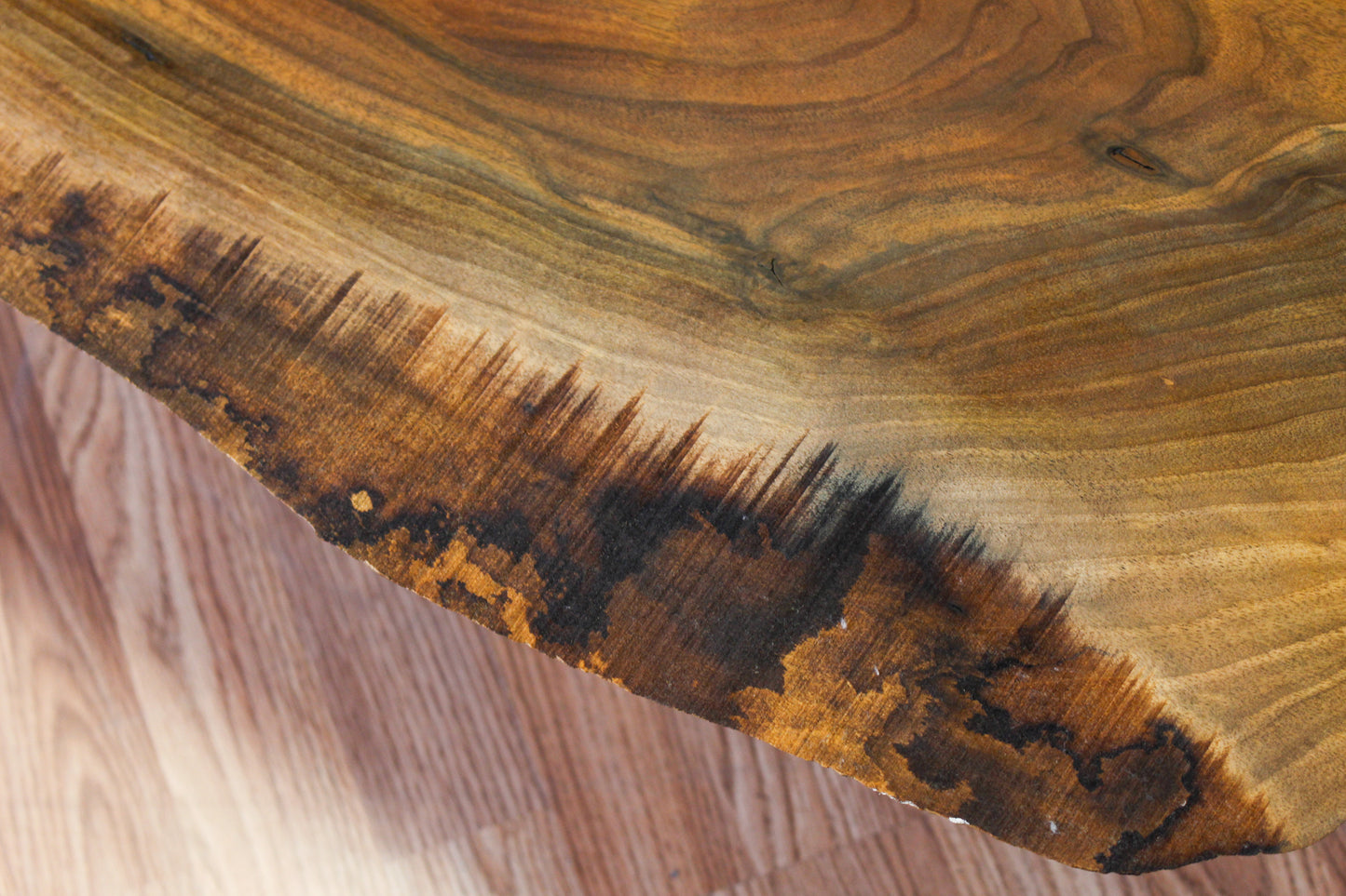 Live Edge Wood & Steel Coffee Table - ONLINE ONLY