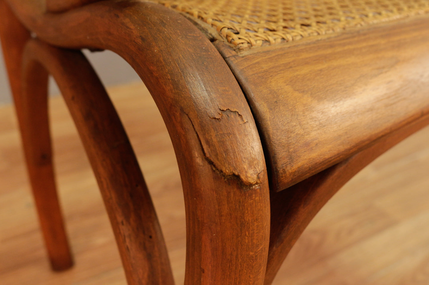 Antique Bentwood & Cane Armchair