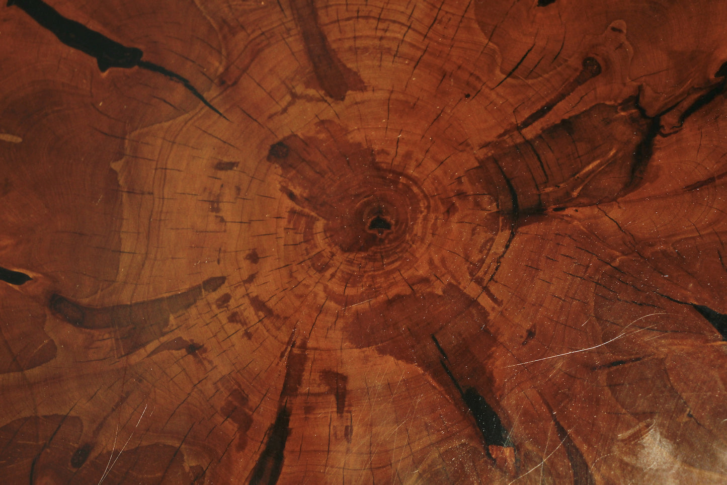 Live Edge Coffee Table