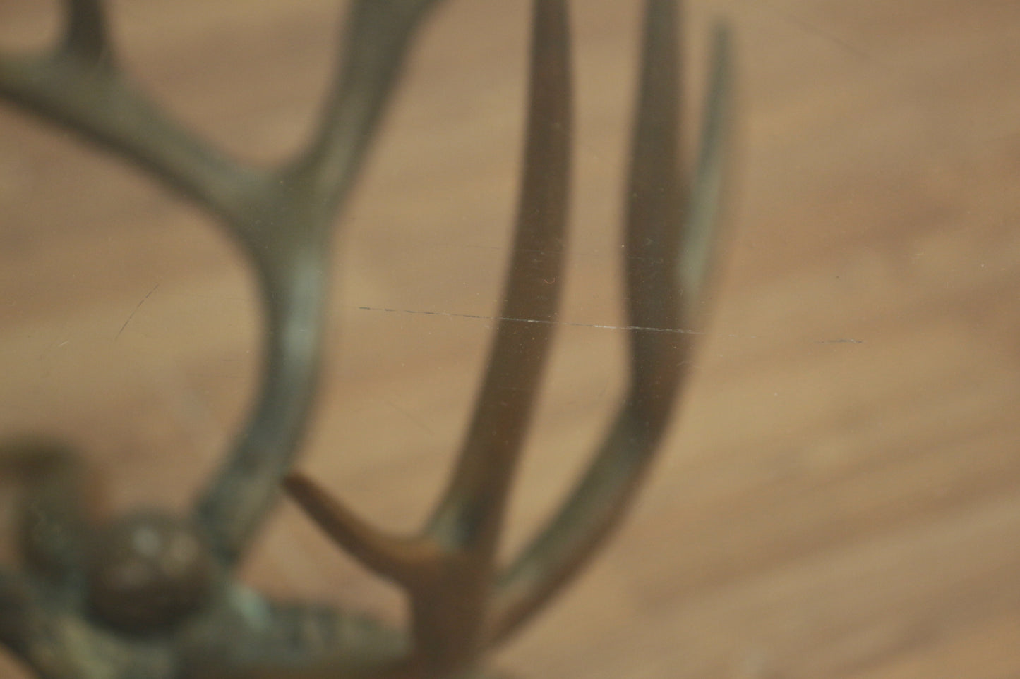 Brass Antler & Glass Coffee Table - ONLINE ONLY