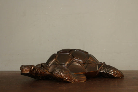 Carved Secretive Turtle