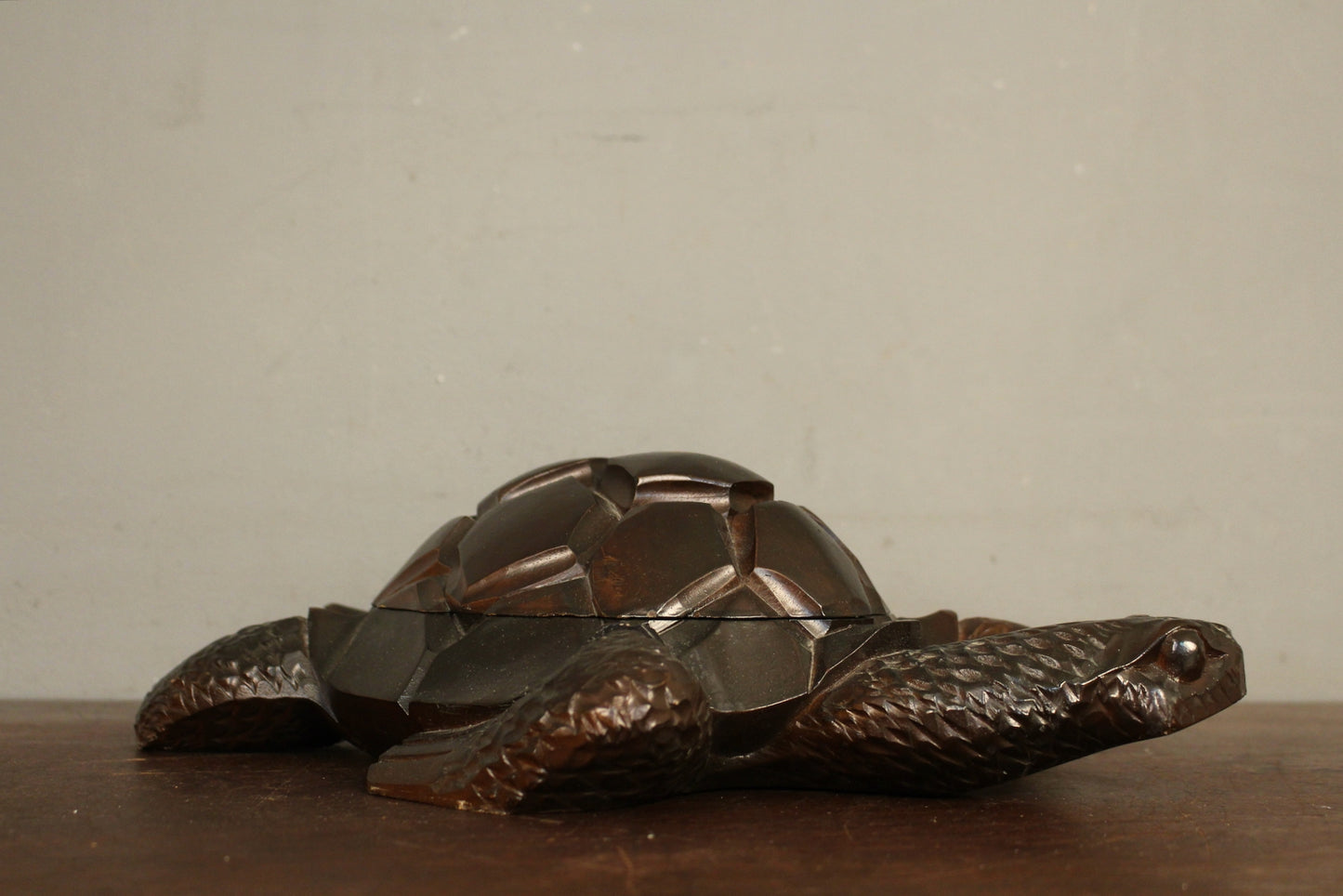 Carved Secretive Turtle