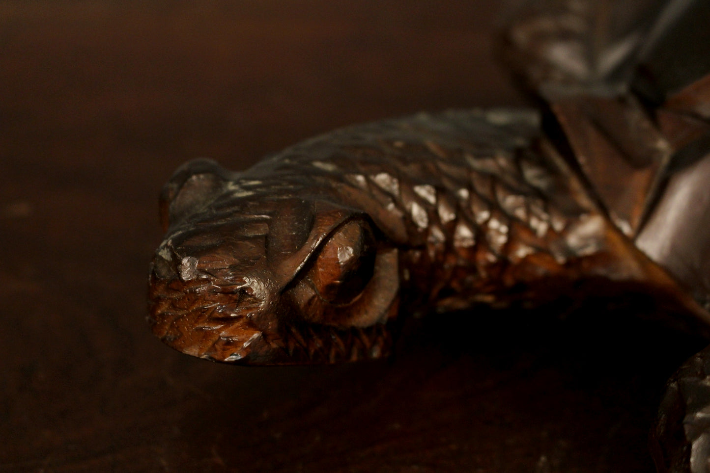 Carved Secretive Turtle