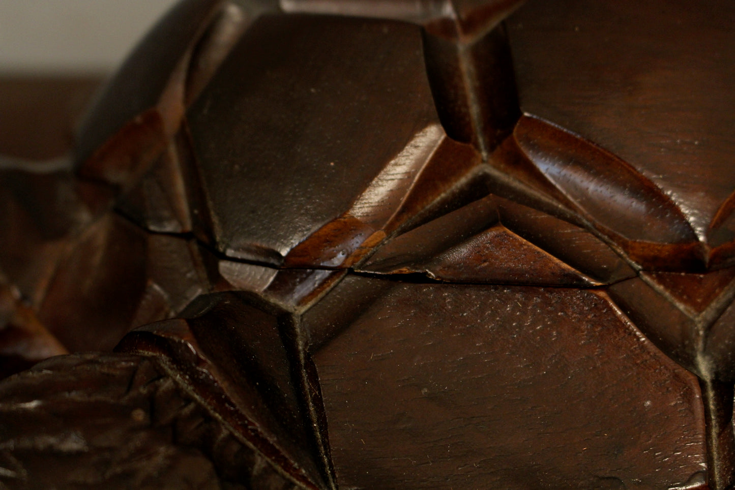 Carved Secretive Turtle